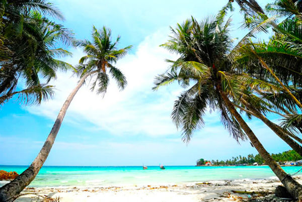 Du Lịch Đảo Nam Du 2 ngày 2 đêm